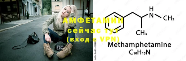 дживик Абаза