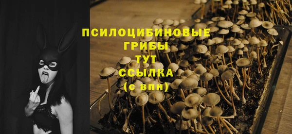 дживик Абаза