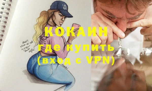 дживик Абаза