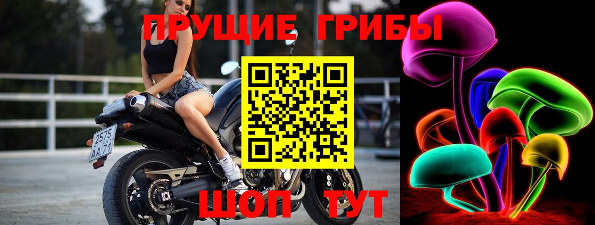 Ковров  Псилоцибиновые грибы GOLDEN TEACHER  Вход с VPN 